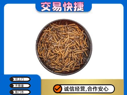 宁德回收散虫草